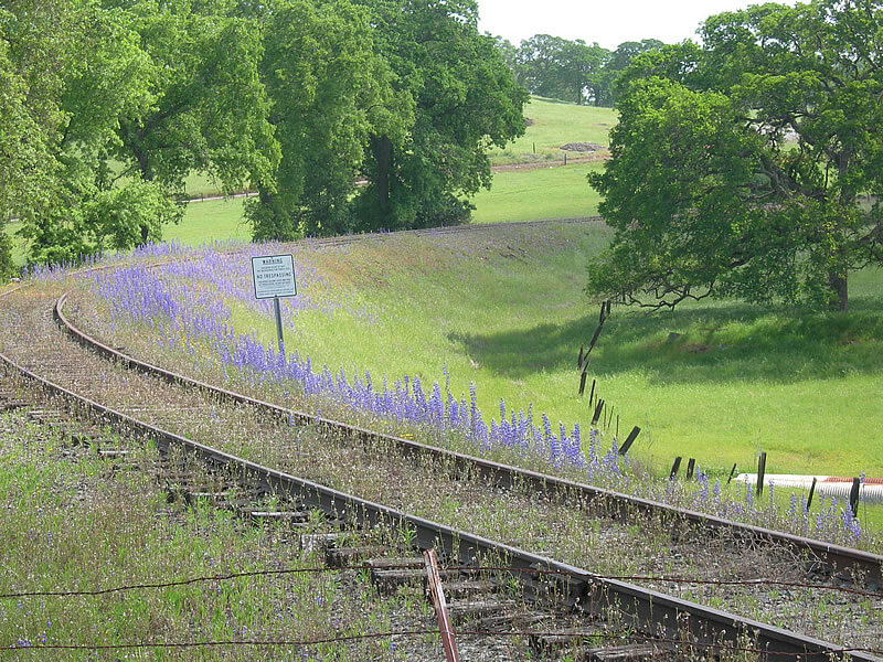 Shingle Springs Train Tracks El Dorado Lake Tahoe Fim & Media Office
