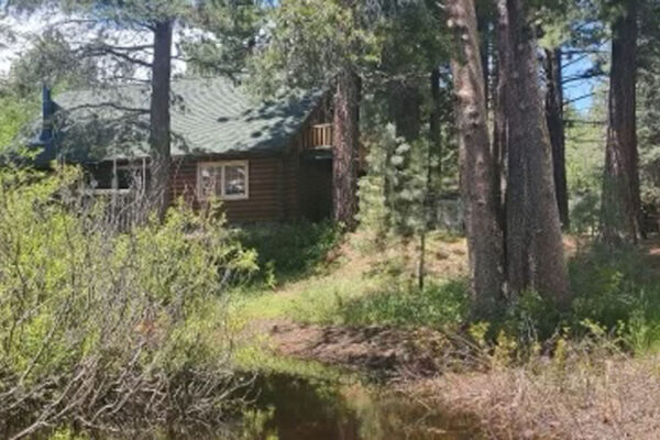 tarpey cabin